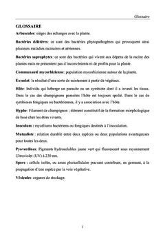 Influence de la diversite mycorhizienne
