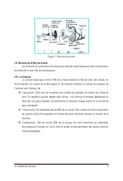 Preparation et Teinture des Materiaux Textiles