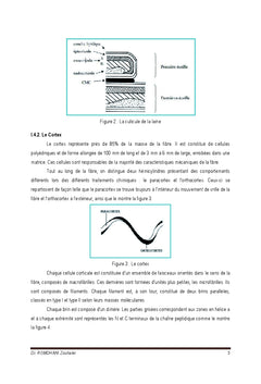 Preparation et Teinture des Materiaux Textiles