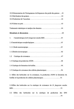 Effets de deux herbicides sur une souche de Burkholderia fungorum