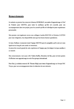 Enjeux de l'utilisation des reseaux sociaux par les entreprises