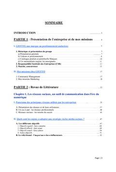 Enjeux de l'utilisation des reseaux sociaux par les entreprises