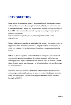 Enjeux de l'utilisation des reseaux sociaux par les entreprises