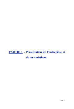 Enjeux de l'utilisation des reseaux sociaux par les entreprises