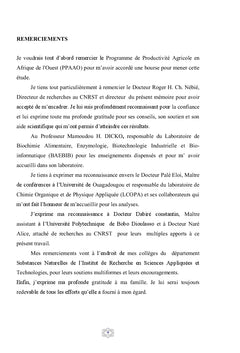 Effets des transformations sur le lycopene des tomates du Burkina Faso