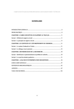 Rapport au travail des jeunes tunisiens dans un contexte de precariat