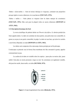 Formulation d'un jus à base de sirop de datte et jus de grenade