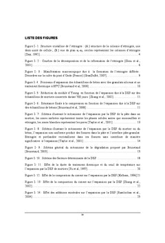 Effets d'additions minérales sur la Réaction Sulfatique Interne