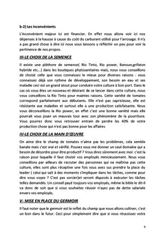 Les Secrets sur la Culture de la Tomate