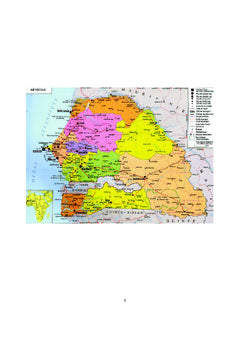 L'hybridation policière : l'exemple du Sénégal