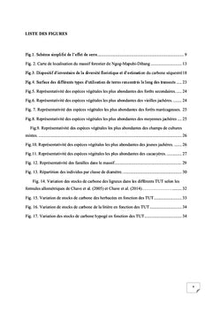 Biodiversite vegetale et stocks de carbone