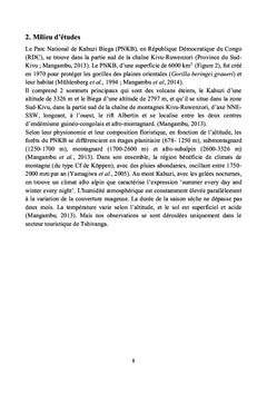 Les Gorilles de Grauer