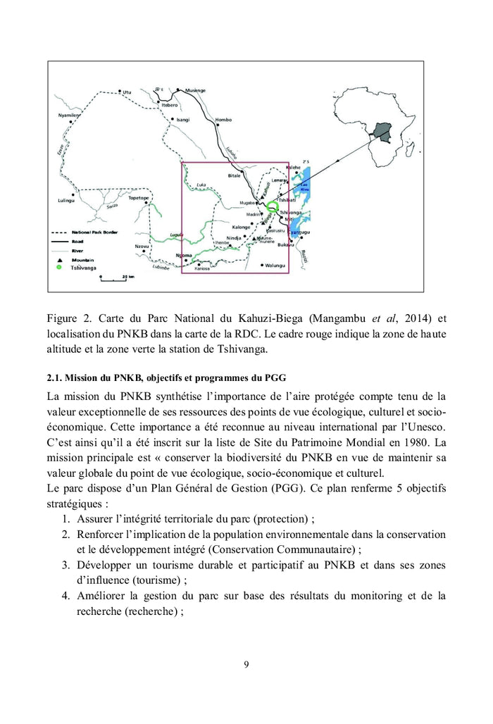 Les Gorilles de Grauer