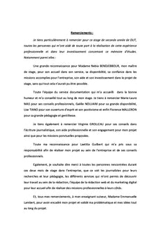 La strategie numerique dans la presse a l'ere du bi-media