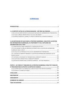 La strategie numerique dans la presse a l'ere du bi-media