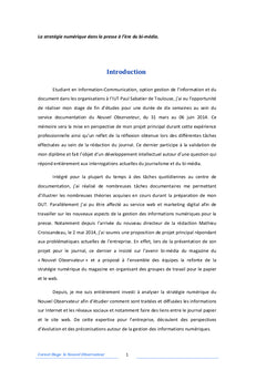 La strategie numerique dans la presse a l'ere du bi-media