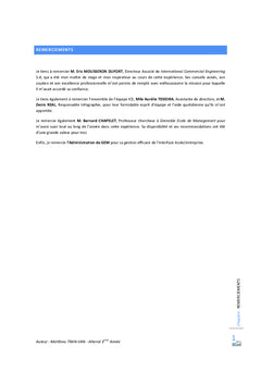 La mise en oeuvre d'une politique marketing-vente globale dans une TPE