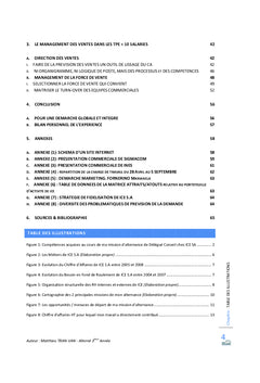 La mise en oeuvre d'une politique marketing-vente globale dans une TPE