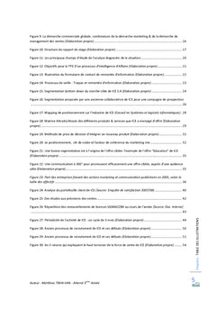 La mise en oeuvre d'une politique marketing-vente globale dans une TPE