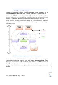 La mise en oeuvre d'une politique marketing-vente globale dans une TPE