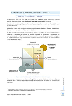 La mise en oeuvre d'une politique marketing-vente globale dans une TPE