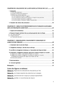 Agriculture urbaine à Dakar (Sénégal) : eau et impacts sur la santé