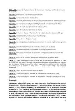 Agriculture urbaine à Dakar (Sénégal) : eau et impacts sur la santé