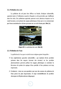 Utilisation des herbicides en foresterie