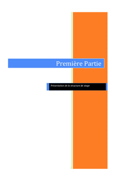 Professionnalisation des associations : nouvelles exigences et enjeux