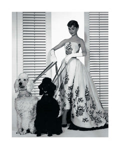 Audrey Hepburn