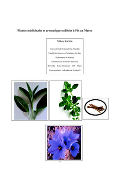 Plantes medicinales et aromatiques utilisees A Fes au Maroc