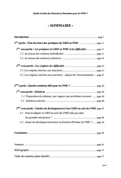 Quelle gestion des ressources humaines pour les PME ?