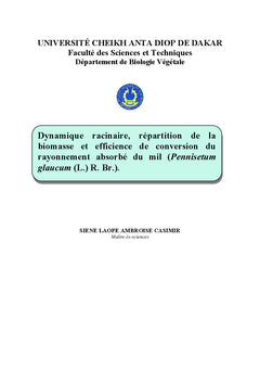 Dynamique racinaire et efficience de conversion du rayonnement absorbe