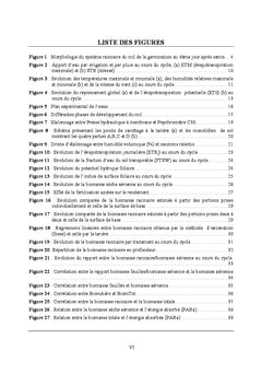 Dynamique racinaire et efficience de conversion du rayonnement absorbe