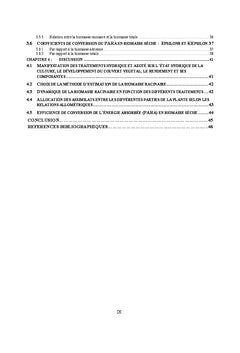 Dynamique racinaire et efficience de conversion du rayonnement absorbe