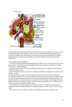 Aider le corps à assimiler les nutriments