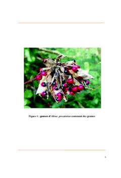 Action physiologique des alcaloïdes de Abrus precatorius Linn