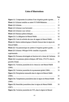 Pompage par énergie renouvelable pour l'irrigation à Menzel Habib