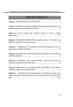 Le diagnostic du processus de construction du bilan social