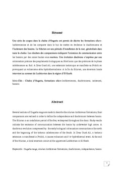 Comparaison des bassins siluro-devoniens inferieurs d'Ougarta
