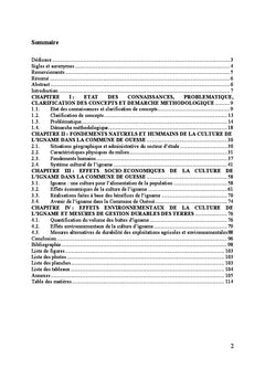 Impacts de la culture de l'igname dans la Commune de Ouesse au Benin