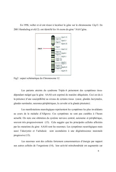 Manifestations neurologiques au cours du syndrome triple A