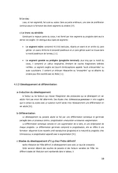 Mise au point du Western Blot pour le diagnostic de l'hydatidose