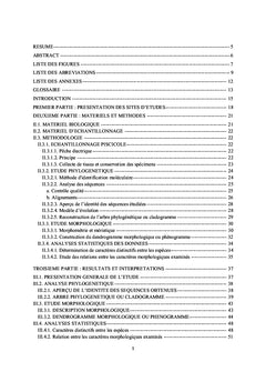 Phylogenie, morphologie et systematique des Gobiiformes