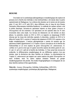 Phylogenie, morphologie et systematique des Gobiiformes