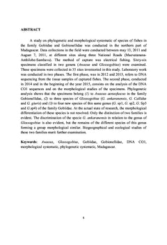Phylogenie, morphologie et systematique des Gobiiformes
