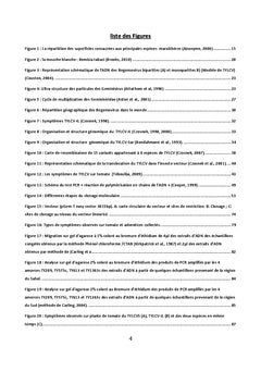 Identification moléculaire de recombinants associés au TYLCD