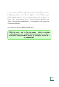 La mixite professionnelle