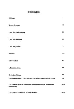 Planification et Gestion du Developpement Local au Mali