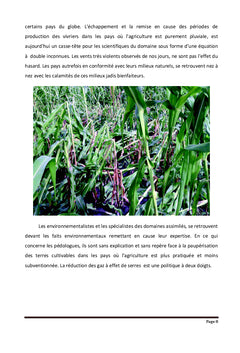 Production des vivriers biologiques et leurs commercialisations